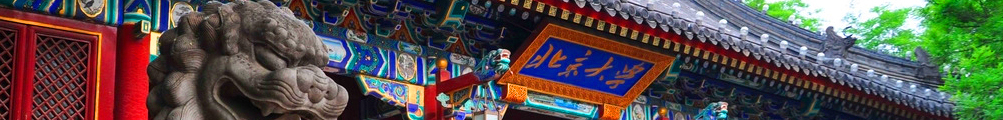 banner02
