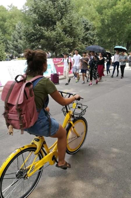 同学骑行北大师生专用车1